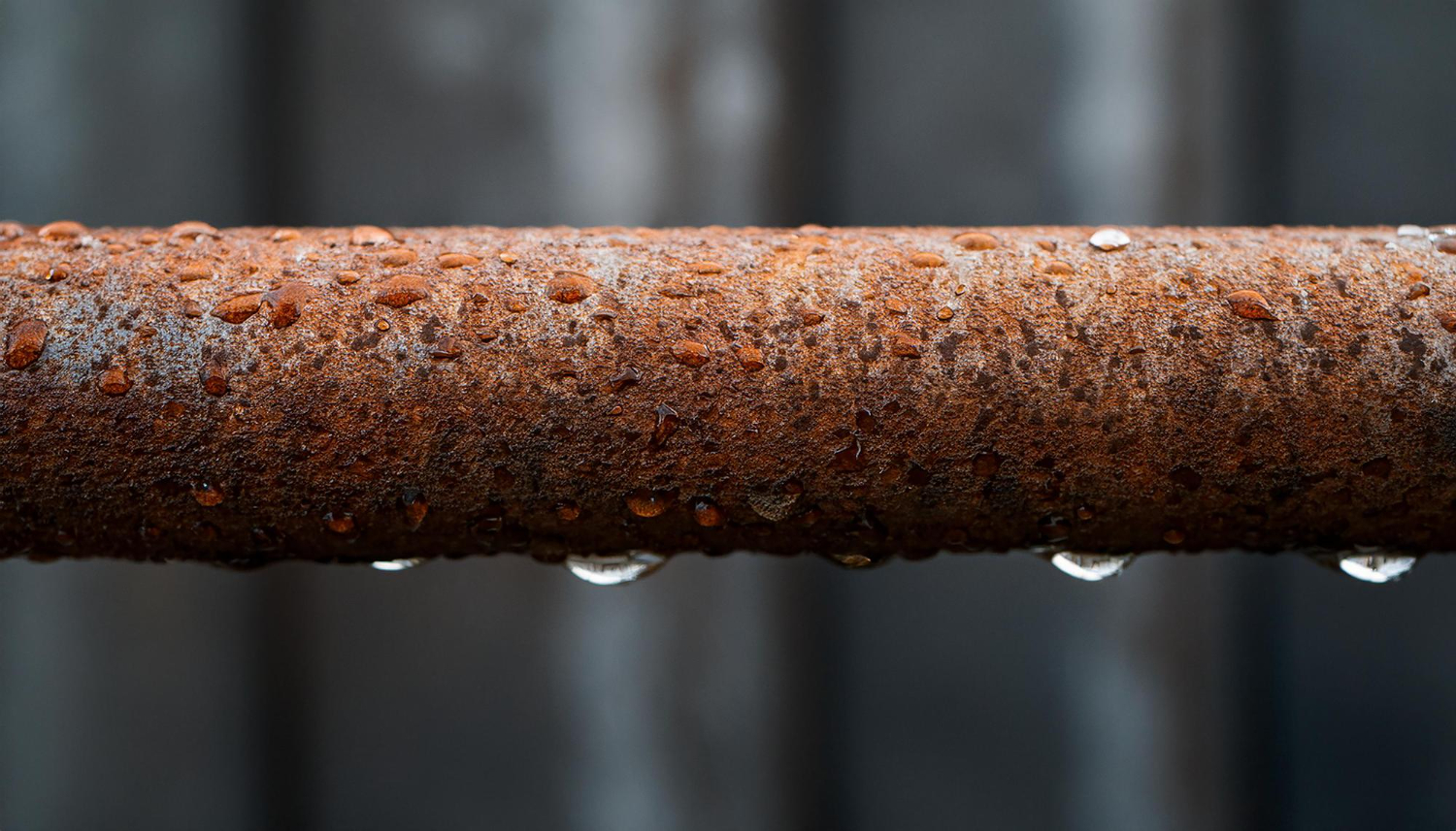Can Stainless Steel Rust?